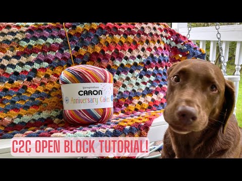 Caron Anniversary Cakes - Book Club - review AND C2C Open Block Stitch Crochet Blanket Tutorial!