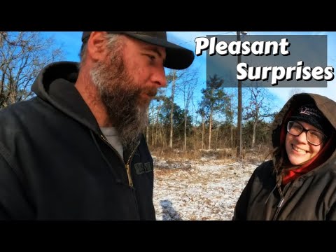 Pleasant Surprises | DIY | Tiny House In The Woods
