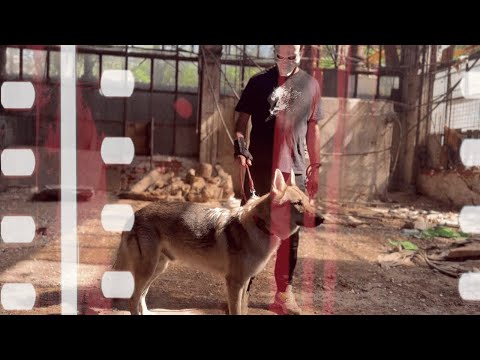 Riposta - Phoenix (feat. Icsu Sidoric) Videoclip