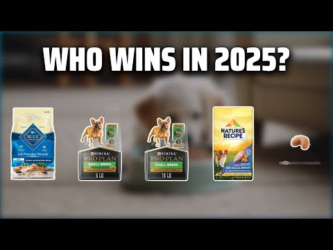 The Top 5 Best Frenchie Food in 2025 - Must Watch Before Buying!