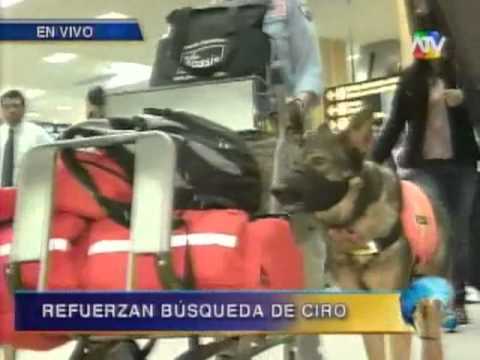 Llegan a Lima los perros de rescate que se sumarán a la búsqueda de Ciro Castillo