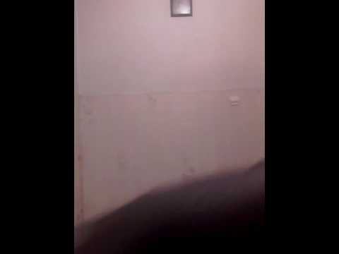 DUKEMOMONEY × POPIESTL × SHANA B z HARD KNOCKS