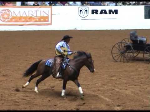 Extreme Mustang Makeover 2017 - Trailer