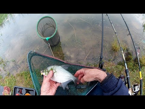 DEVERIKA NA FIDER - GRUZANSKO JEZERO - 4K VIDEO