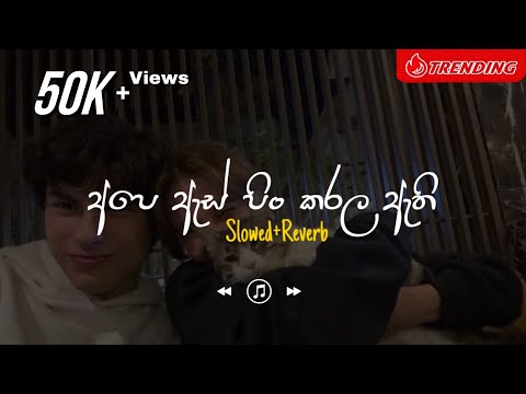 Ape As Pin Karala Athi - අපේ ඇස් පින් කරලා ඇති (Slowed+Reverb)
