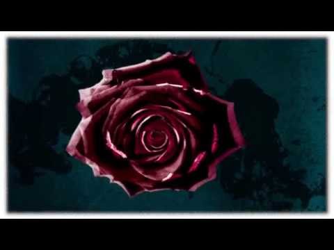 Vesterinen Yhtyeineen - Siinä kävi niin