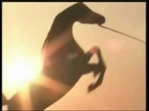 TRES PANDELAS SIAPICCIA.wmv