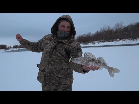 Опустили Камеру, а там Судаки. Ловля Судака на Балансир. Щука на жерлицы