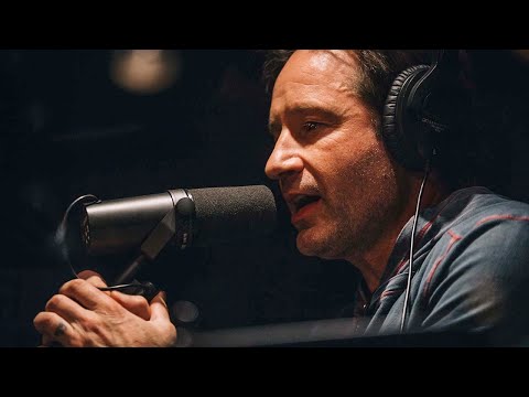 Spiral - David Duchovny