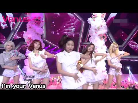 Hello Venus - Venus 繁中應援