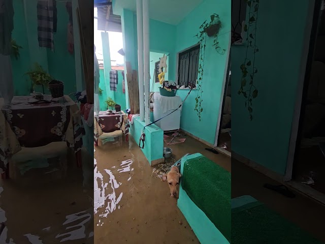 Estrada do Mendanha'