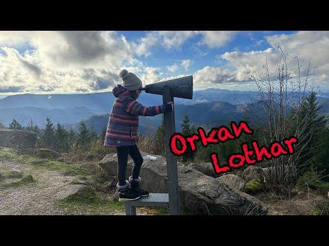Hurricane Lothar: Stop for a break on the Lothar Trail in the Black Forest. Vlog 116