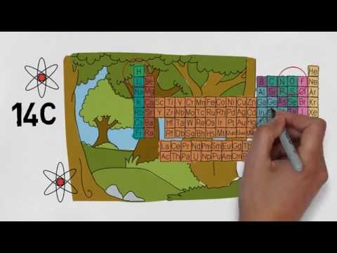 Die C14-Methode einfach erklärt! Wie datiert man in der Archäologie