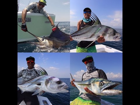 Offshore & Inshore Fishing for Sailfish & Roosterfish in Costa Rica