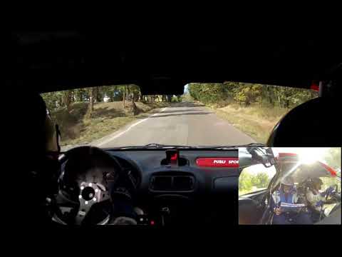 29° Rally Raab 2017 "Il Medico" & Bertolini Daniele ps 8 Bombiana Crash