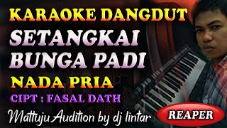 Download lagu Karaoke Dangdut Setangkai Bunga Padi || Nada Pria mp3