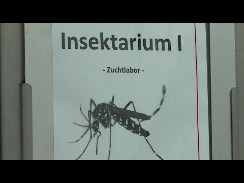 Video Thumbnail: Insel der Alpakas, Schweine und Viren