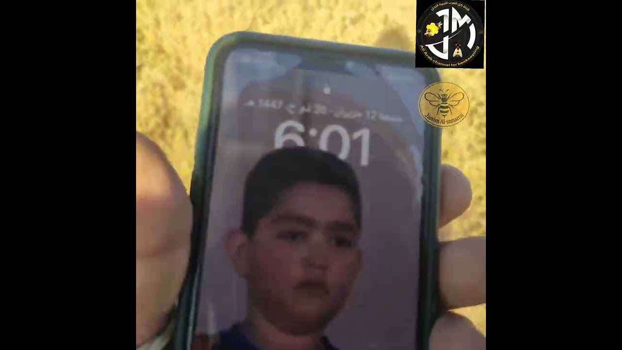 عسل المر او عسل الكسوب او عسل الصفير الشوكيات 