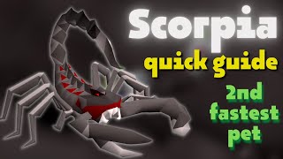 Scorpia Quick Solo & Duo Guide  | OSRS