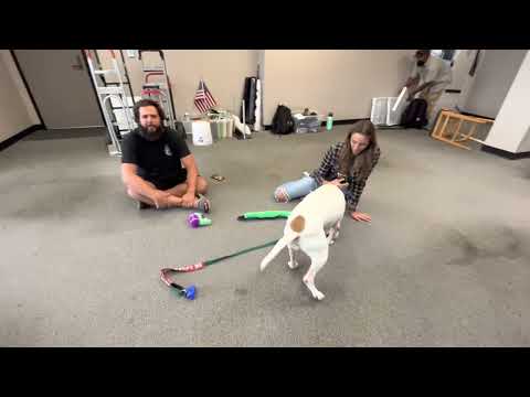 Hailee playing movie