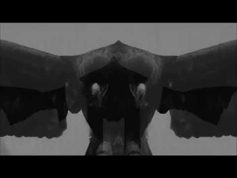 Robot Koch - Hawk (Snakes Of Russia Rework)