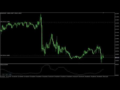 Video Dynamic Grid EA