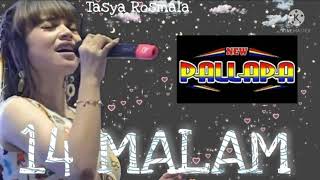 Download lagu 14 MALAM Tasya rosmala NEW PALLAPA live ARASO #tasya #14malam #newpallapa #kyageng #koploviral2021 mp3