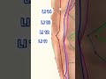 Large Intestine Meridian Acupuncture Points #acupuncturepoints