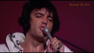 Elvis Presley - You Don&#39;t Have To Say You Love Me (with the Royal Philharmonic Orchestra)