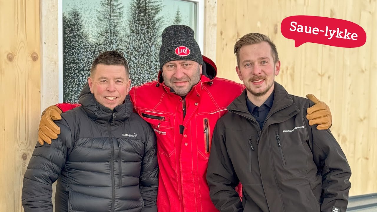 Temperert sauefjøs i Ogndal