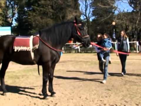 Centro de Equinoterapia