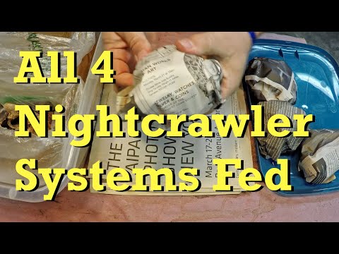 All 4 nightcrawler systems fed - worm farm vermicomposting
