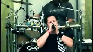 Video Živák na Wůdstoku 2