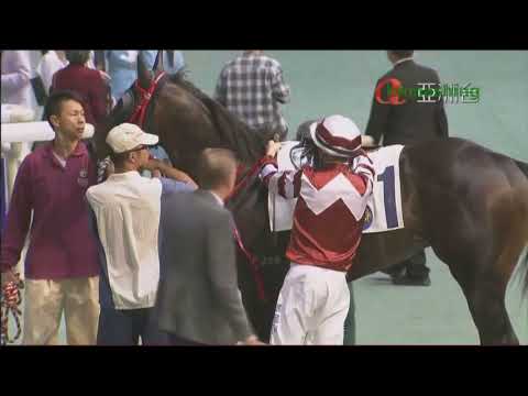 2013/14 (176) - Sight Believer (信眼光) - 安國倫