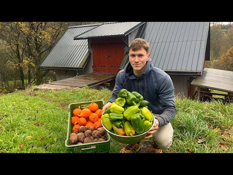 How do People Live in Europe? Life on a Small Farm