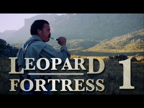 Tracking a mountain leopard: Leopard Fortress Ep 1