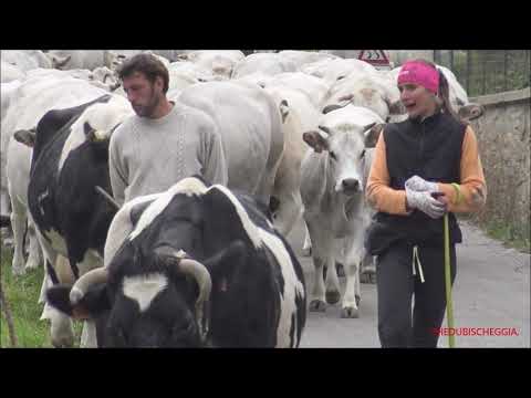 2^ PARTE, TRANSUMANZA DI ROBERTA COLOMBERO PASSA A MARMORA IN VALLE MAIRA. (CN) SAB. 9 - 10 - 2021.