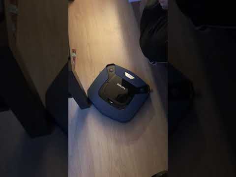 Videominiatuur