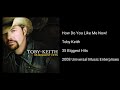Toby Keith - How Do You Like Me Now!