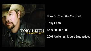 Toby Keith - How Do You Like Me Now!