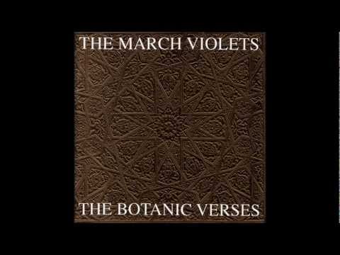 March Violets - Walk into the sun