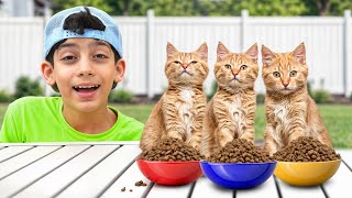 Jason shows how to take care of cats