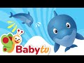 Dolphin Animal Sounds And Names For Kids Toddlers Cartoon BabyTV