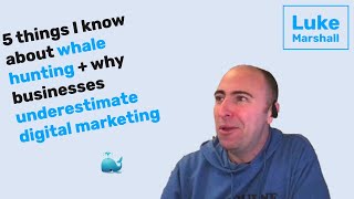 5 things I know about whale hunting + why businesses underestimate digital marketing