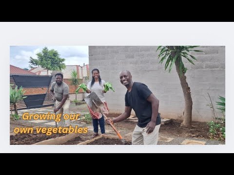 Permaculture Garden 2026: Grow Your Own Veggies!