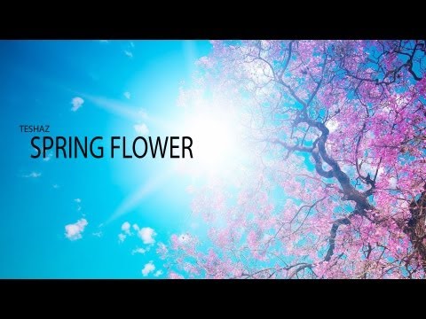 TESHAZ - SPRING FLOWER (ORIGINAL MIX)