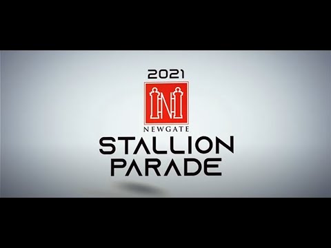 Newgate Virtual Stallion Parade 2021