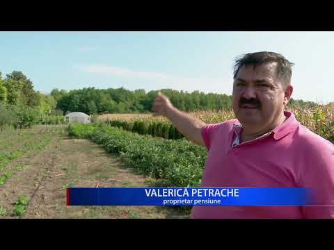 PENSIUNE ÎN MIJLOCUL LIVEZII
