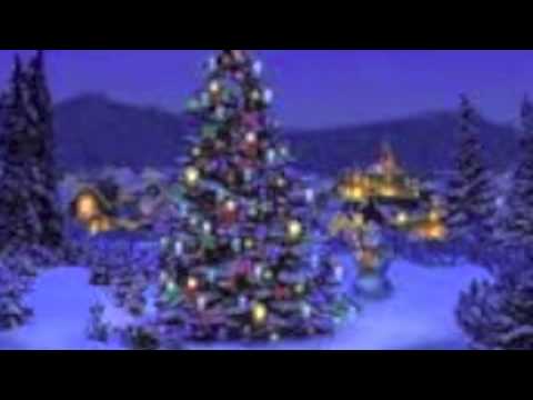 Holiday Celebrations