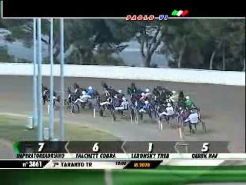 22/10/2012, Taranto , Premio Merengue C.naz.